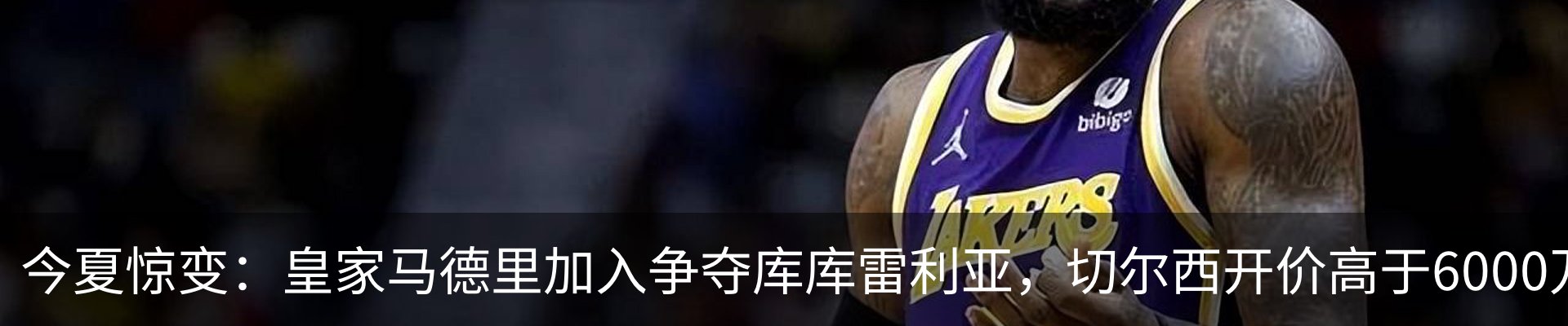 最新动态