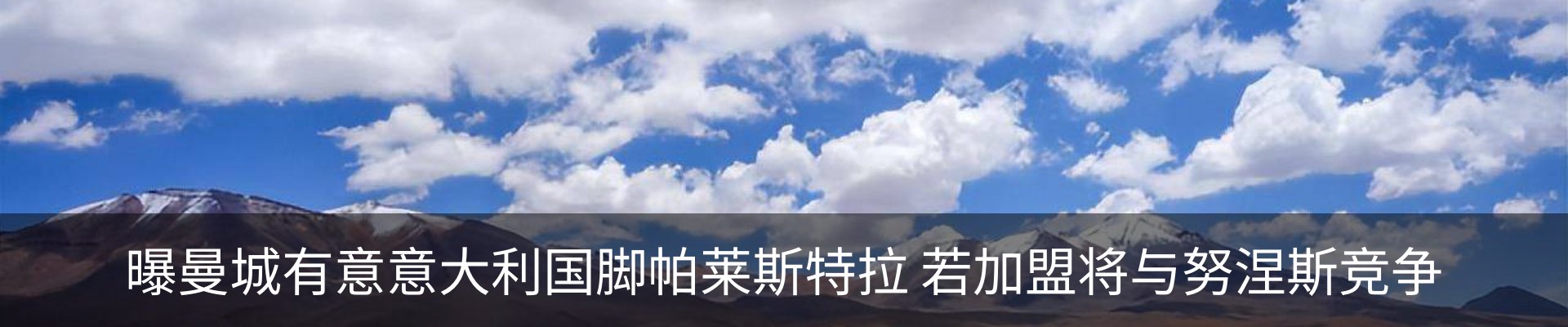最新动态