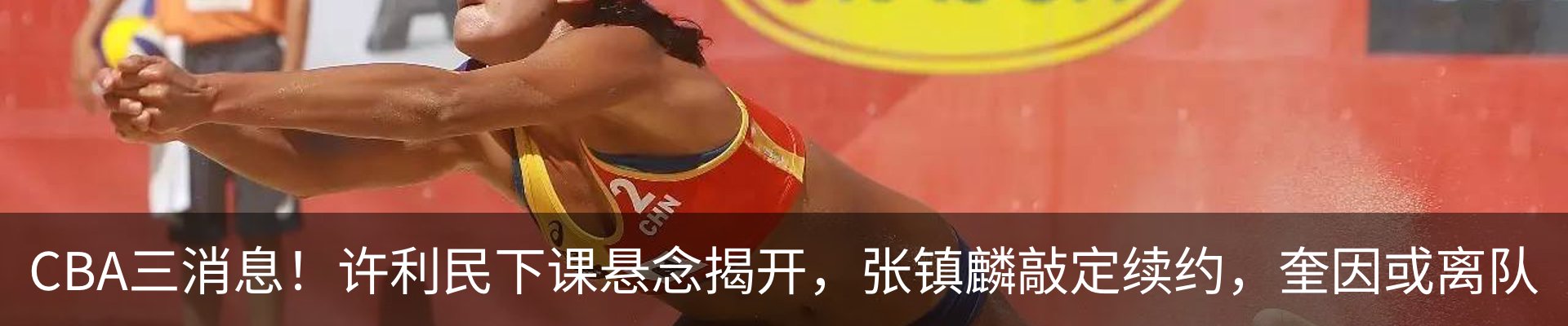 最新动态